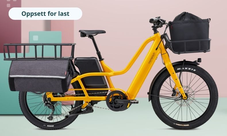 Pakyak E+ Cargo